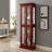 Malines Lighted Cabinet with Adjustable Shelves and Mirrored Back Panel