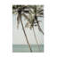 «Shot By Clint Sun Kissed», art sur toile-692085533