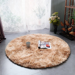 Household Lamb Wool Carpet For Living Room And Bedroom, Computer Yoga Mat,  Soft Indoor Fluffy Shag Fur Area Carpet, Non-slip Comfortable