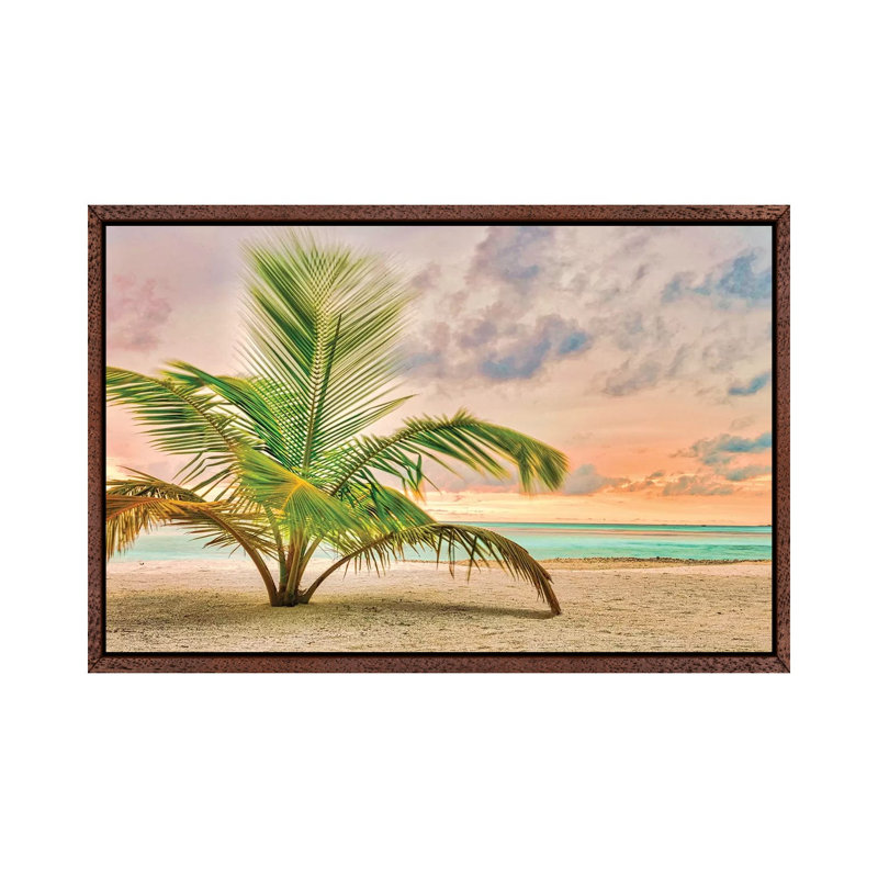 Sunset Palm 1 Piece Wall Art on Canvas, 45.72cm H x 66.04cm W x 3.81cm D, Classic Brown Wood Floater Framed