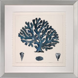 Blue Coral II Print