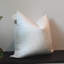 Coussin décoratif en duvet d'oie et en duvet, 95% plumes et 5% en duvet, coussin décoratif moelleux-108994947-108994944