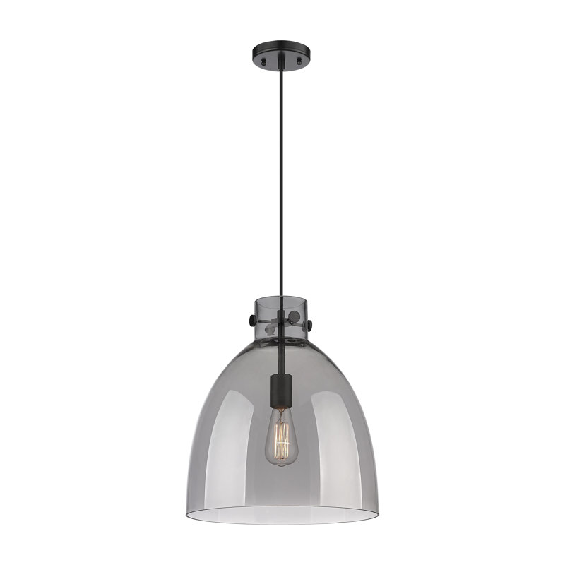 Luminaire suspendu à 1 lumière Badgett, Plaqué couleur fumée, Noir mat, H 16 po x l 14 po x P 14 po