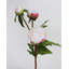 Pivoine jaune tendre 48 cm-136068135