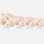 Coussin extérieur-21091229
