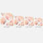 Coussin extérieur-21091230