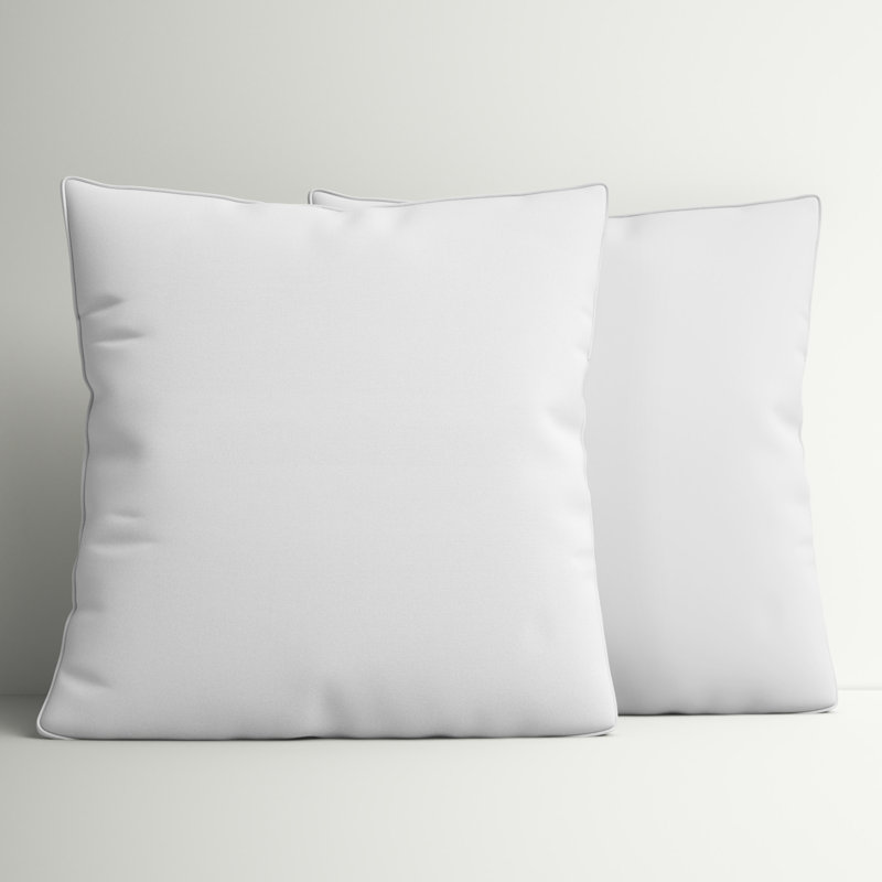 Insert de coussin Wayfair Basics® Didomenico, 12 po x 12 po