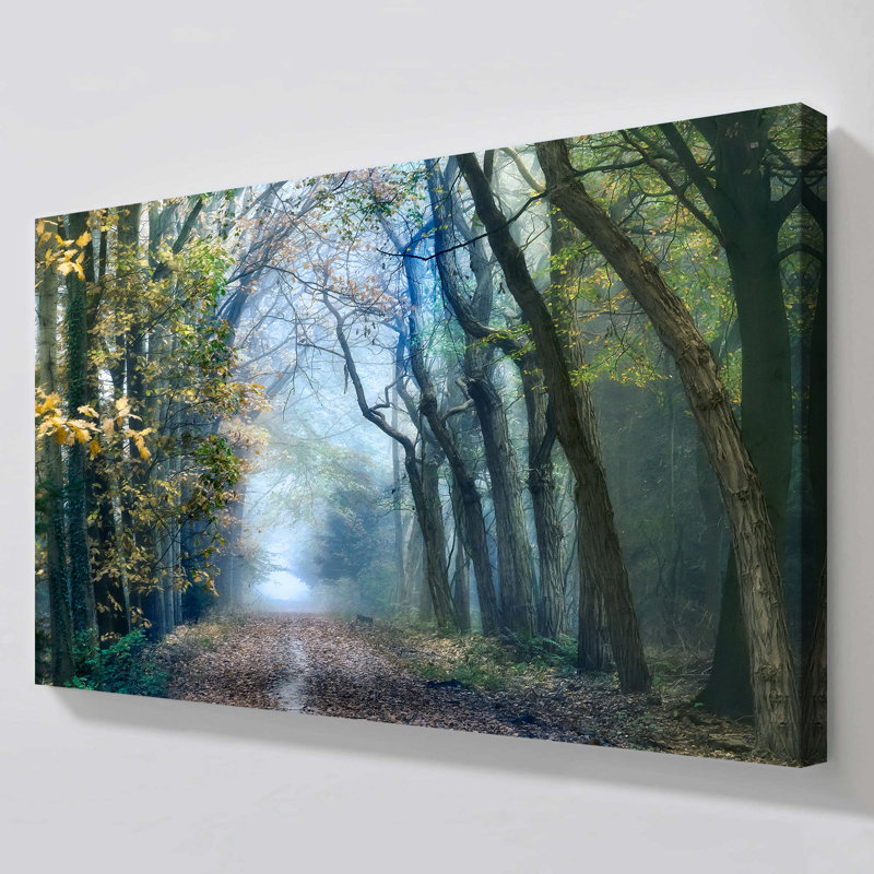 "Forêt d'acacia" par Lars Van de Goor, reproduction sur toile, H 18 po x l 30 po x P 1 po