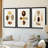 Knorr Shells IV  -Custom Framed  Premium Print W Matt - 3 Pieces