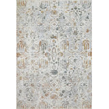 Oriental Area Rug in Ivory/Grey/Rust