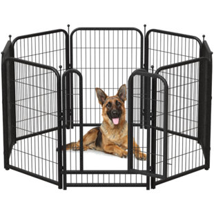Enceinte pour chien en métal de 40 po, 8 panneaux, grand parc pour animaux Pet Pet