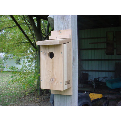 Paez 10.5'' H x 5.5'' W x 5'' D Post Birdhouse