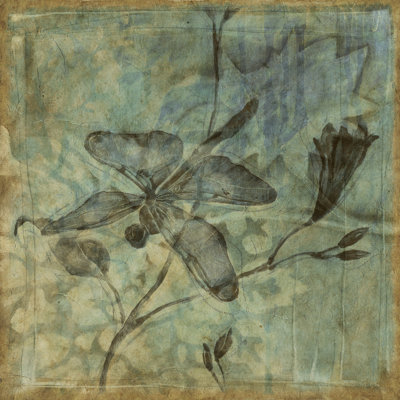 Small Ethereal Wings I by Jennifer Goldberger - Wrapped Canvas Print