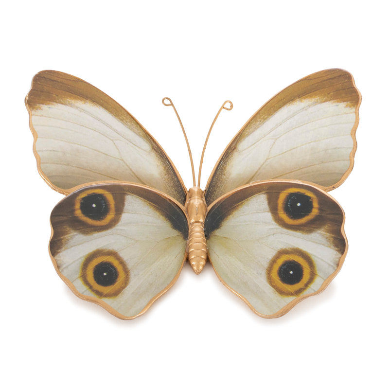 Ensemble de 2 tablettes Amber Butterfly and Moth