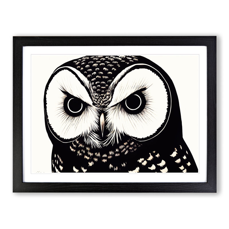 Desirable Owl - Single Picture Frame Print, 25cm H x 34cm W, Black