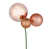 Or rose