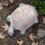 Statue de jardin en polystone Asan