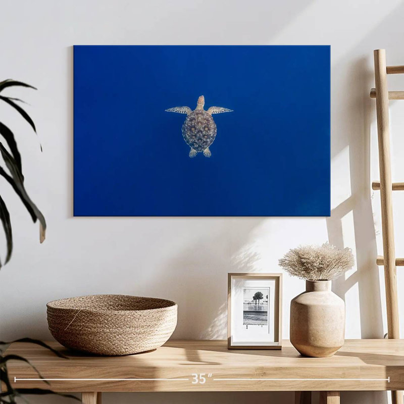 Brampt Blue Sea Turtle, 16" H x 24" W