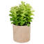Plante artificielle verte 10 po en pot en faux bois