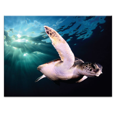 Photographers Lane - Wrapped Canvas Print