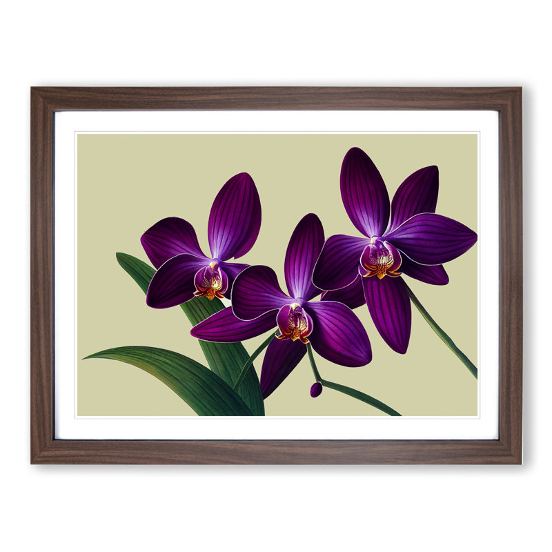 Glorious Orchid Flowers - Framed Print, 46cm H x 64cm W x 2cm D, Walnut