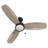 52" DC Motor Pull-chain 3 Reversible Blades Ceiling Fan with Light, Downrod