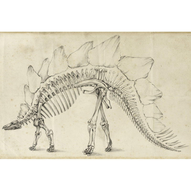 Dinosaur Study III by Ethan Harper - Wrapped Canvas Painting, 20cm H x 30cm W x 3.8cm D