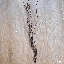 Branche de brindille Ikebana-1842633616-1842633631