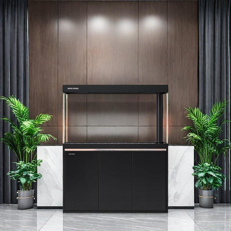 Black Minimalist Rectangular Aquarium Tank