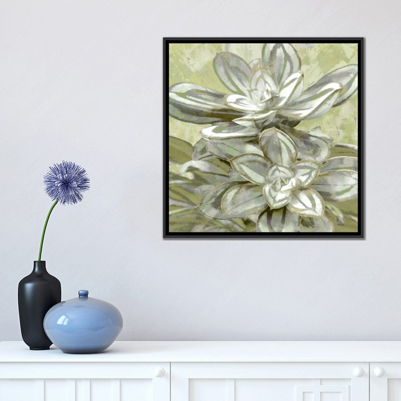 «Succulent VIII», impression sur toile, H 18 po x l 18 po x P 1,5 po, Toile avec cadre noir, Pas de tapis