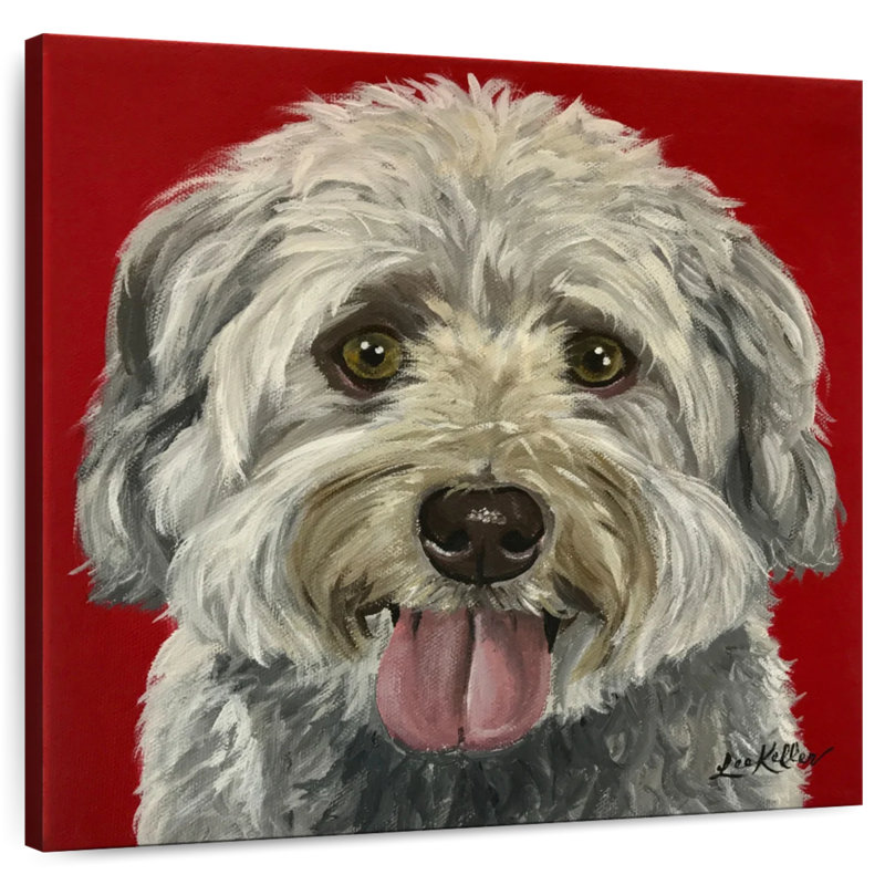 Crowle Havanese, 30" H x 30" W
