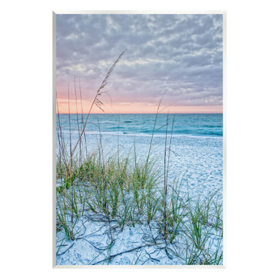 " Coastal Sea Grass Sprigs Beach Shore "
