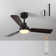 42 In. Smart Indoor Black Ceiling Fan With 3-colors Led Light And Dc Reversible Motor And Remote