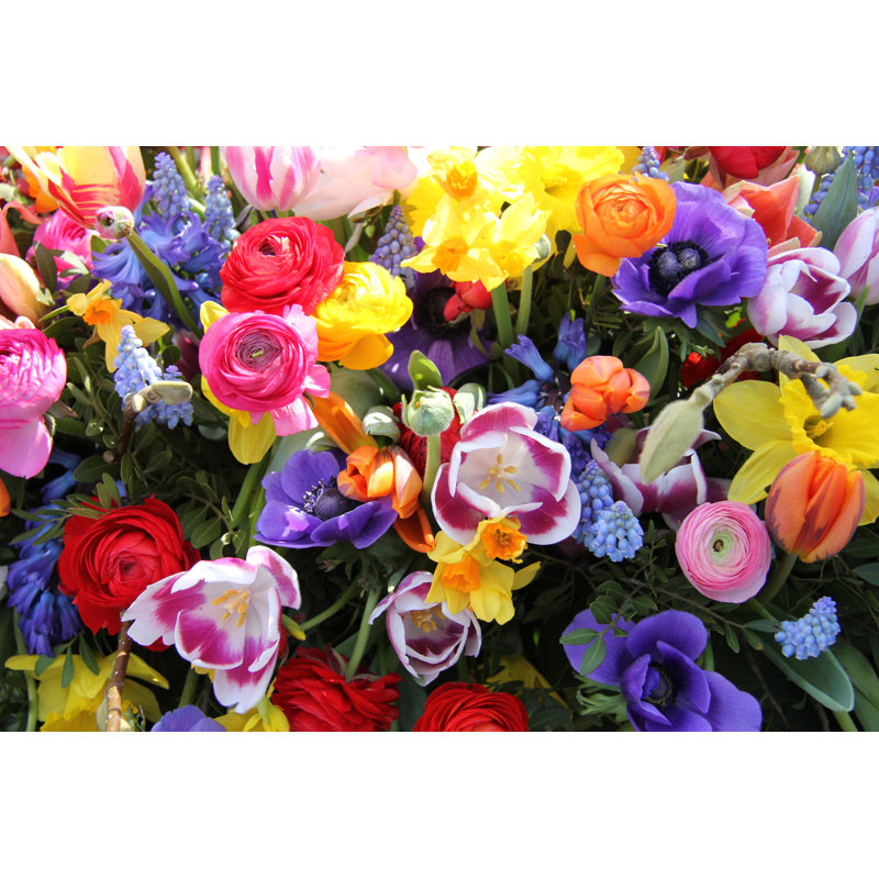 Fleurs printanières aux couleurs vives - Photographie sur toile tendue, H 32 po x l 48 po
