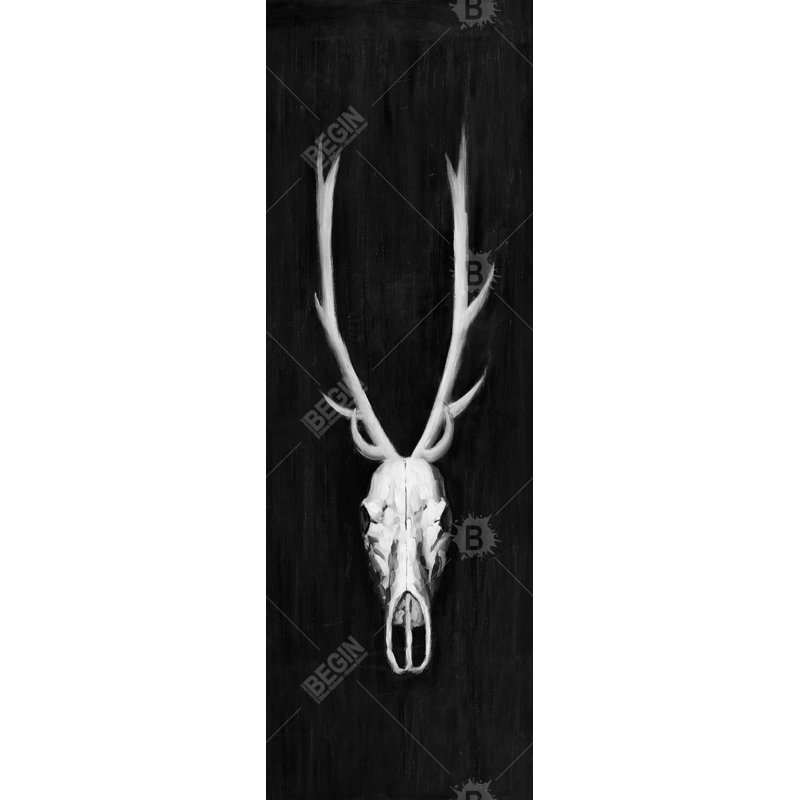 " Deer Skull On Black Background "