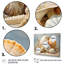 Collage de coquillages contemporains-2129847566-2129847567