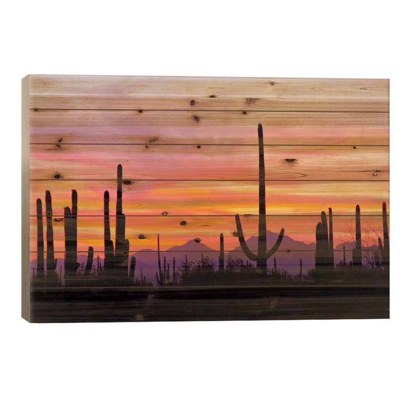 Cactus Saguaro au coucher du soleil I, parc national de Saguaro, désert de Sonora, Arizona, États-Unis