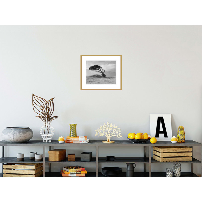 «Live Oak Outer Banks North Carolina» par Hugh Morton, impression giclée sur cadre, 17.75" H x 20.7" W