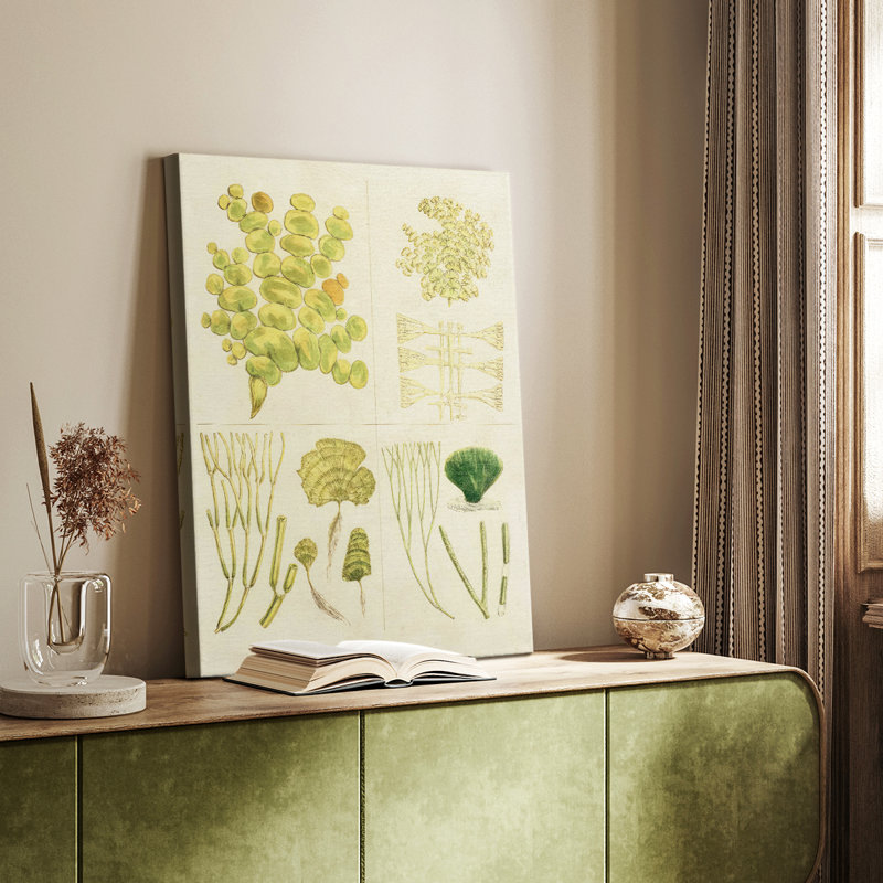Herbe de mer rétro IV - galerie Cavas enveloppé, H 60 po x l 40 po