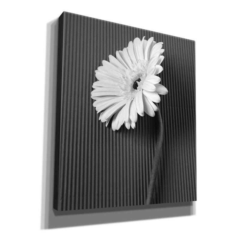 «Fresh Cut Daisy II» par Debra Van Swearingen, art mural sur toile, H 30 po x l 26 po x P 1,5 po