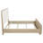 Mirador Light Elm 56-inch Queen Panel Bed