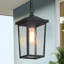 Lanterne d'extérieur 1 lumière Cosimo
