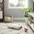 Arlo Pet Bed-51338952-51338953