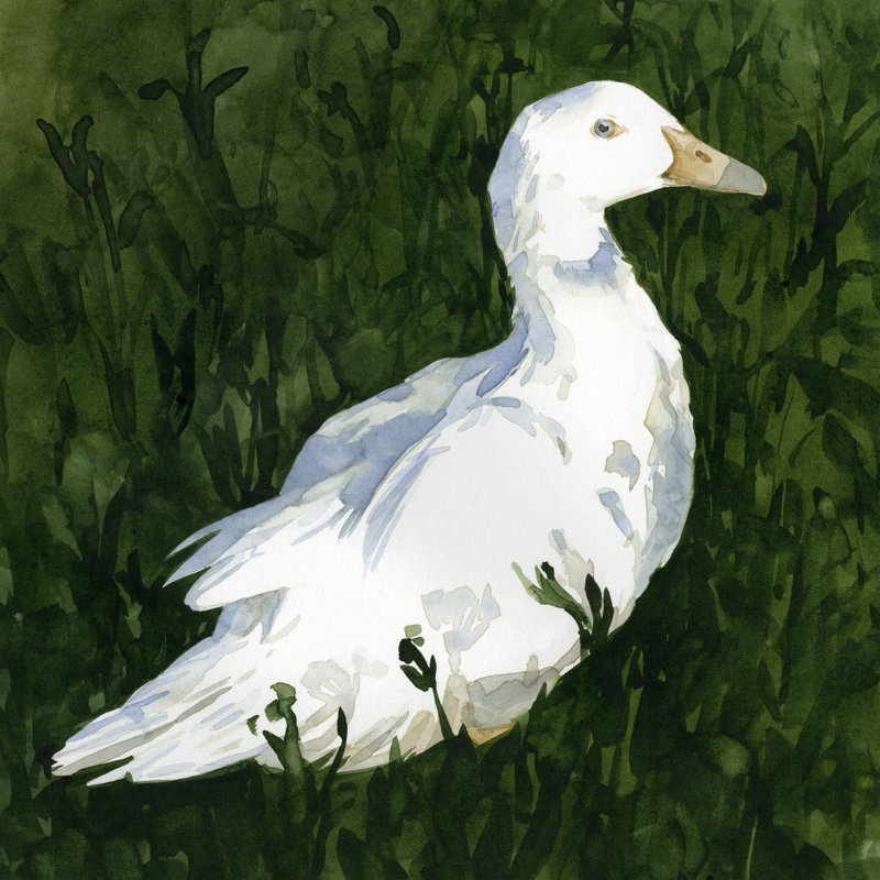 Lone Duck I by Emma Caroline - Wrapped Canvas Painting, 76cm H x 76cm W x 3.8cm D