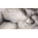 Asmat Gradient Gray Faux Sheepskin Fur Area Rug