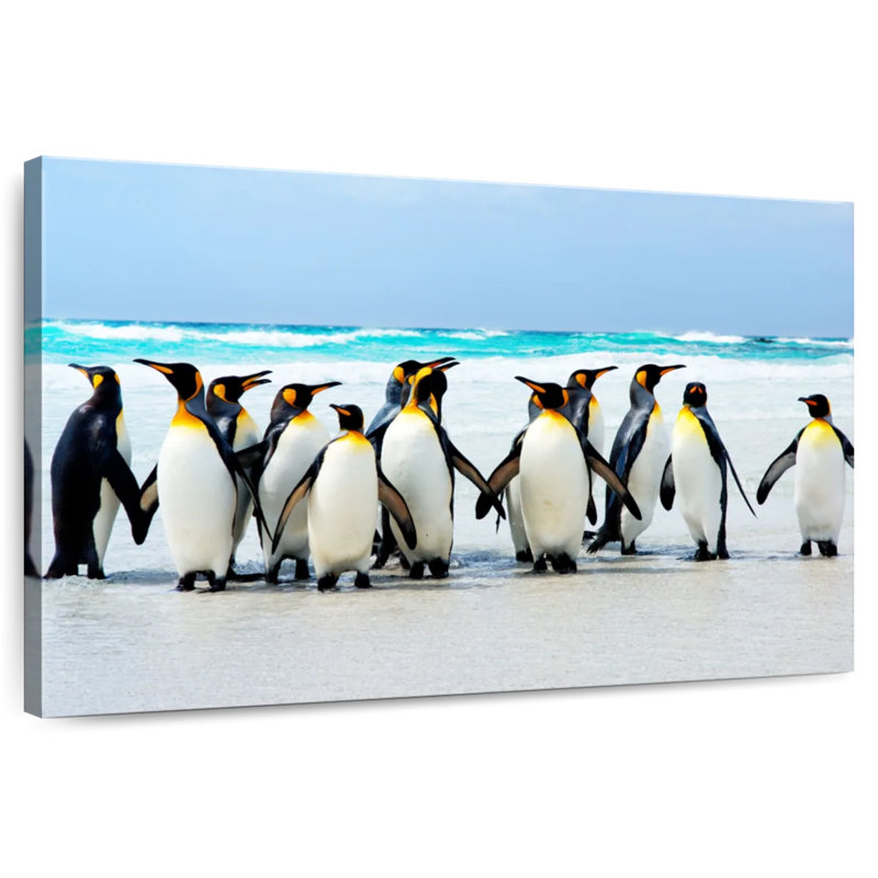 Crowle Penguins aux îles Falkland, H 8 po x l 12 po