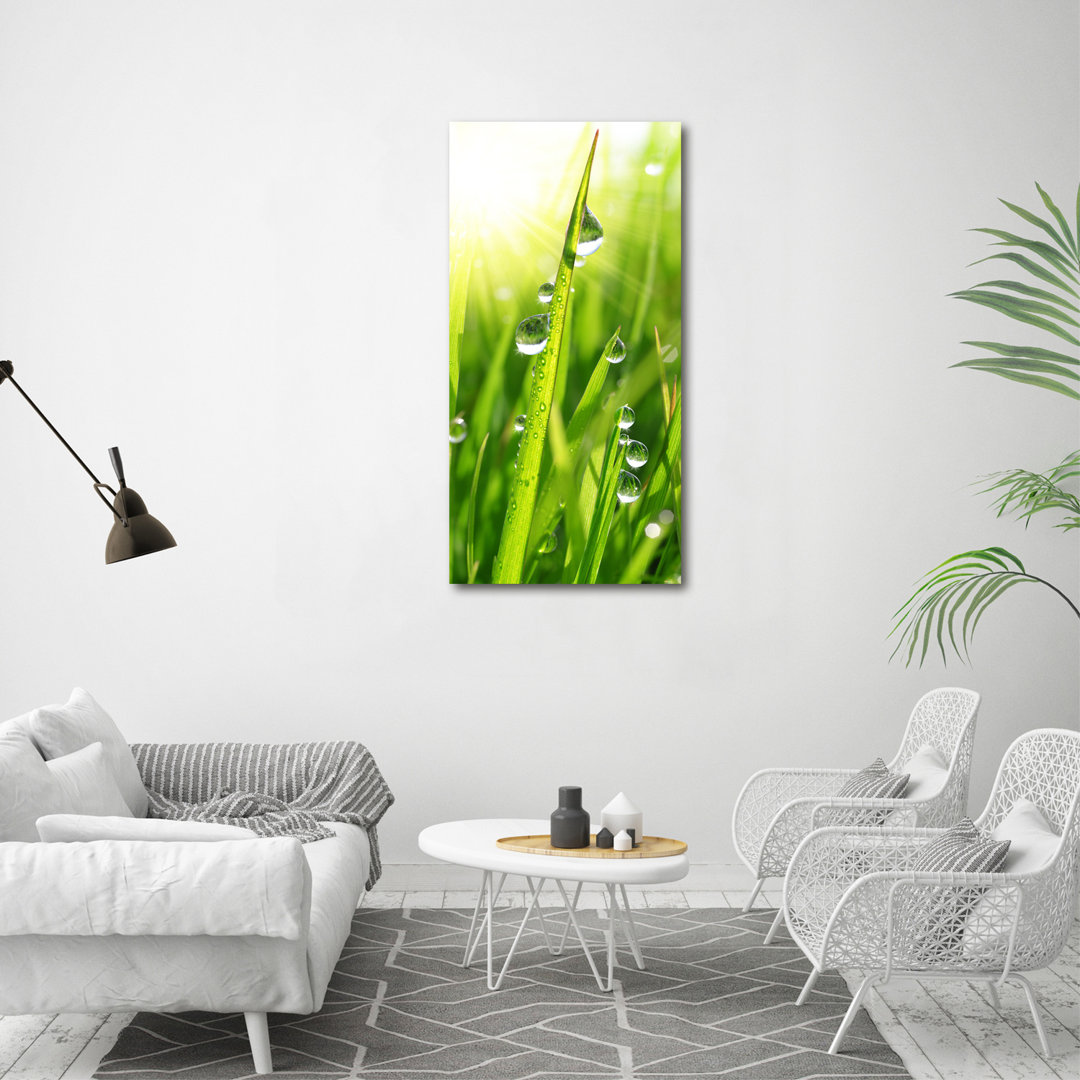 Blades of Grass - Wrapped Canvas Art Prints