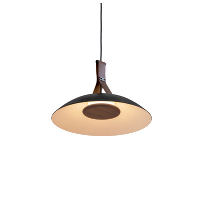 Luminaire suspendu à DEL 18 po Volo