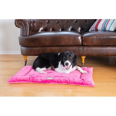 Tapis pour chien en velours doux