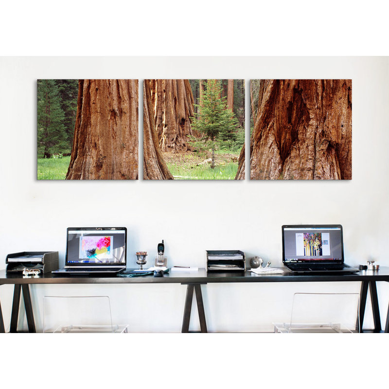 Ensemble de 3 reproductions de photos sur toile tendue séquoia national park, california, H 24 po x l 72 po x P 1,5 po